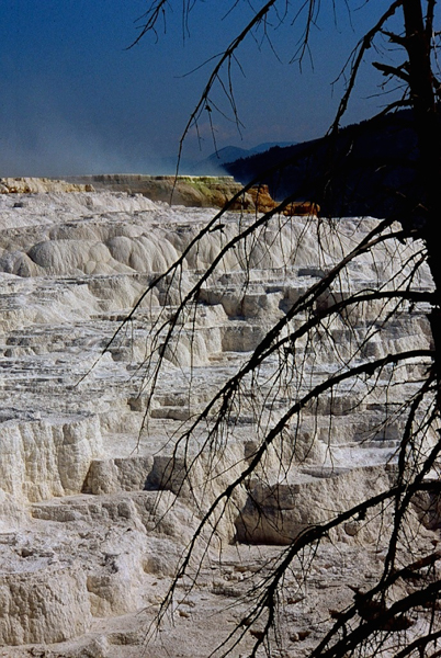 20000801   Yellowstone 072